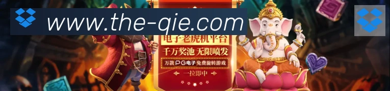 互动解说服务