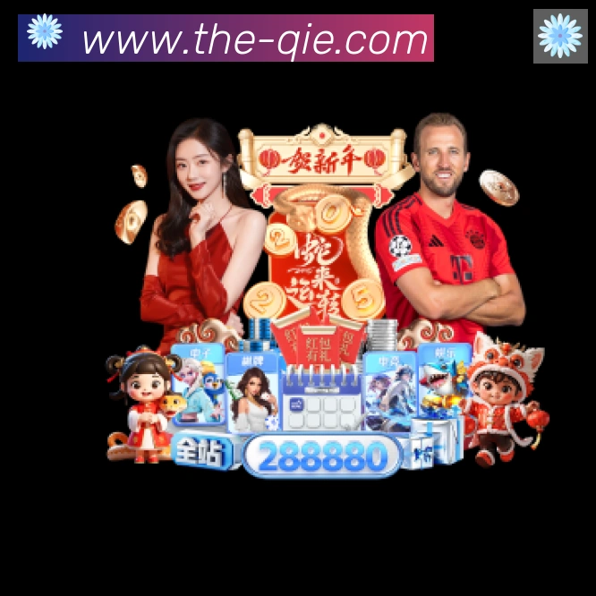 对战数据统计